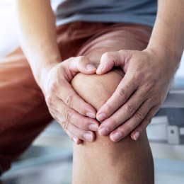 Kategorie Gelenke Rosenbaum-Forschung